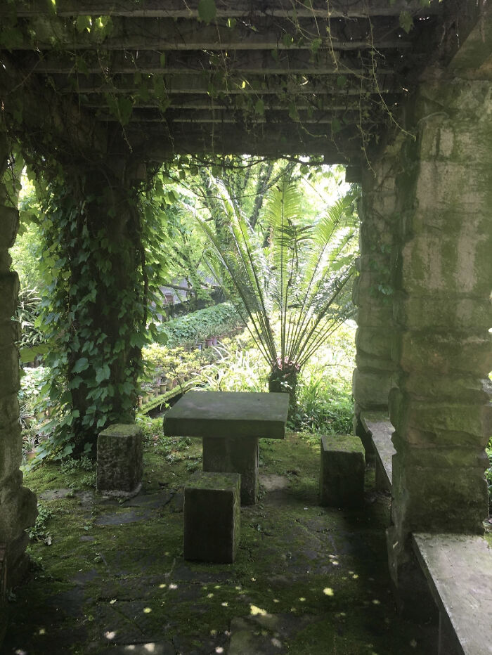 Nanshan Botanical Gardens, Chongqing, China