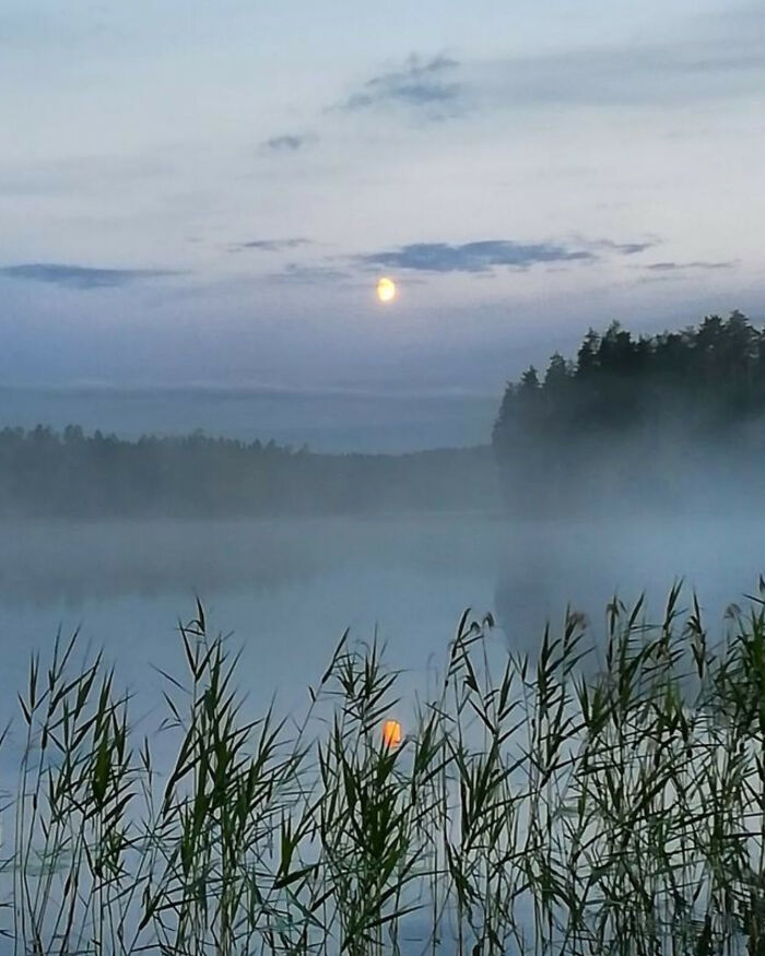 View From My Home Porch, Spiced Up With Summer Night Of North