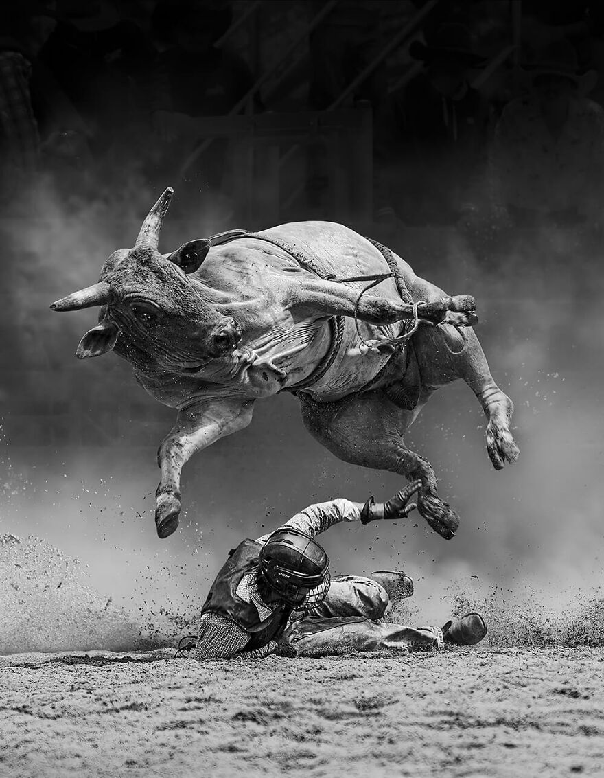 Narrow Escape By Tony Law