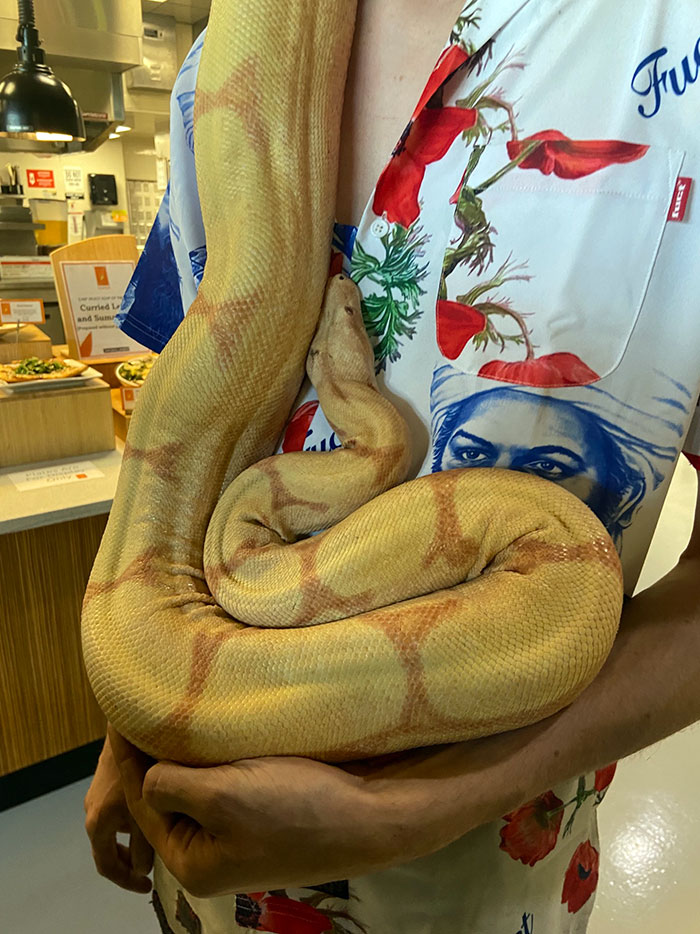 This Is How A Customer Walked In At The Restaurant I Work At