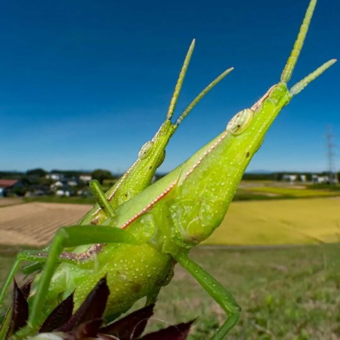 Instagram Account Shows Incredible Moments Of Street Photography