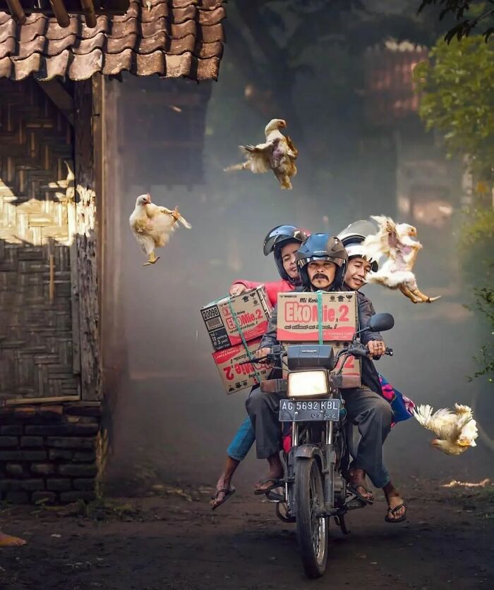 Three men on a motorbike carrying noodle boxes with flying chickens around, creating an amusing scene.