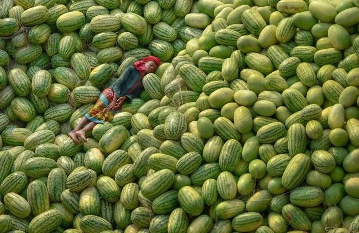 A person resting on a large pile of watermelons, creating an amusing photo shared on a popular Instagram page.