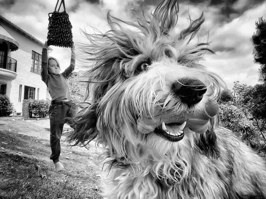 Charley From The Series 'The Lost Years' By Laurie Freitag