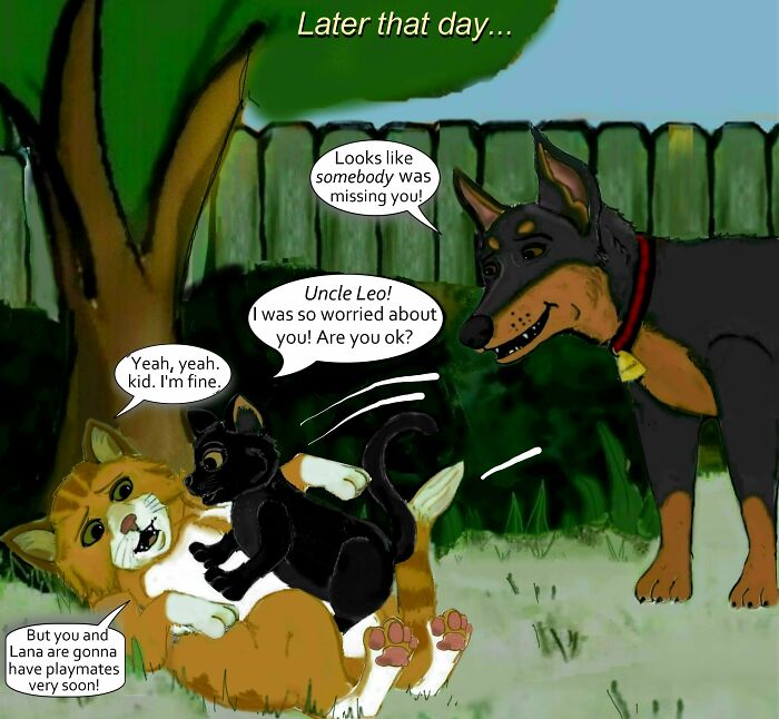 "Locked Out": Conclusion