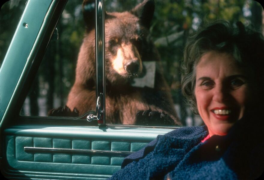 What's The Problem, Bill? Yellowstone Park, Wyoming, 1967