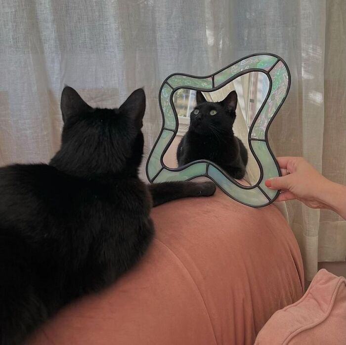 Meet The Psychedelic Mirrors Of An La Artist