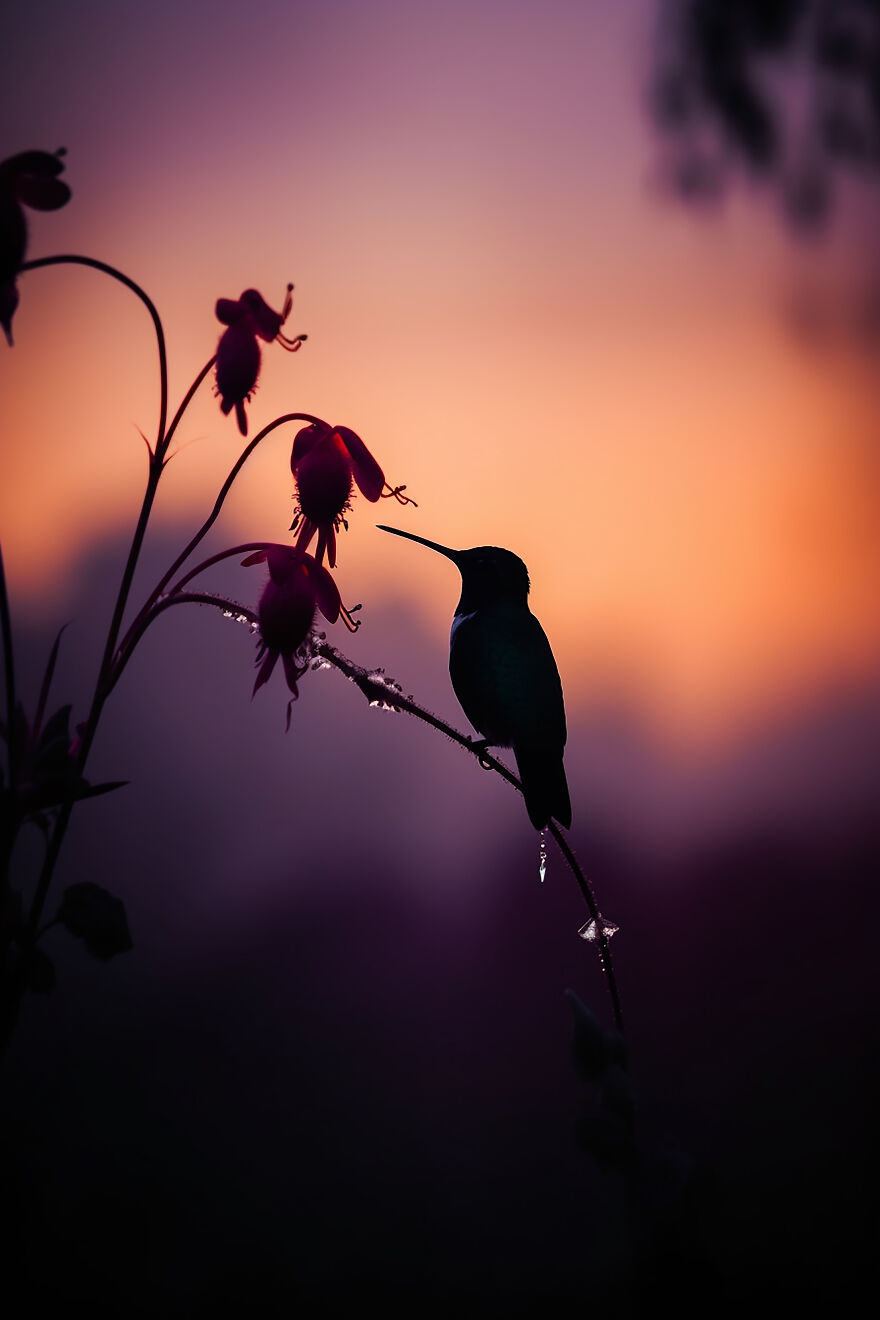 40 Images Depicting The Beauty Of Nature At Dawn