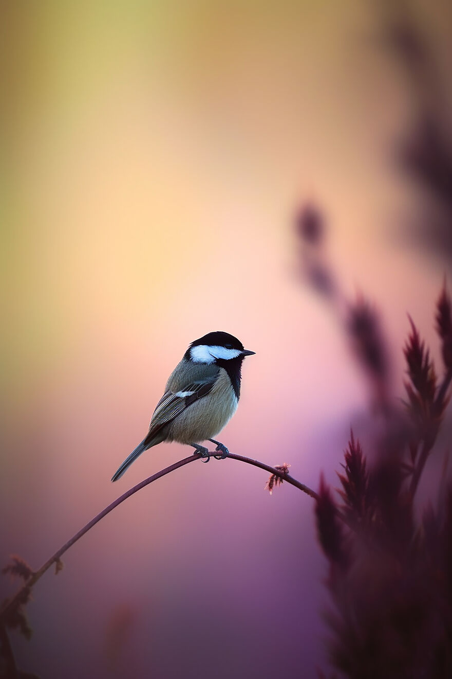 40 Images Depicting The Beauty Of Nature At Dawn