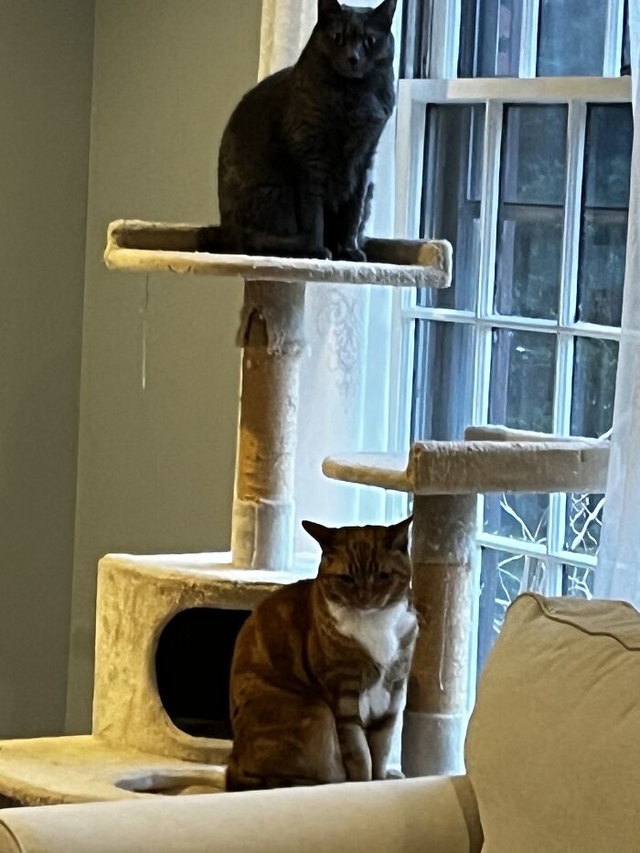 We Didn’t Do Anything…