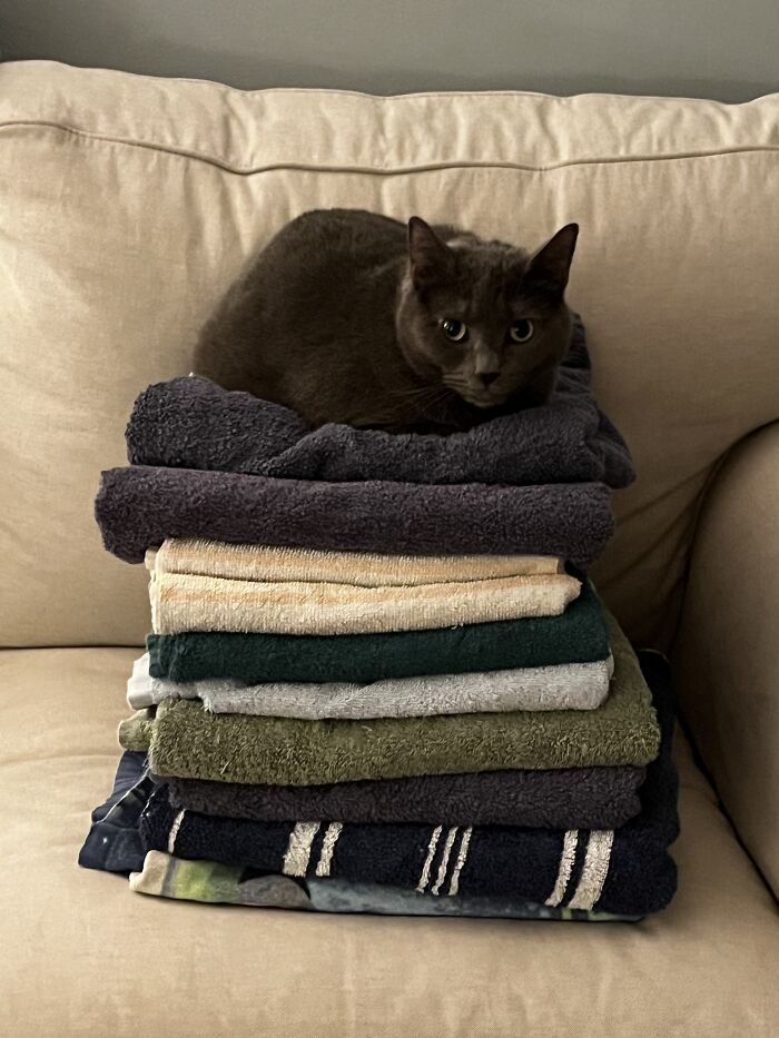 The Towels Aren’t Clean Anymore