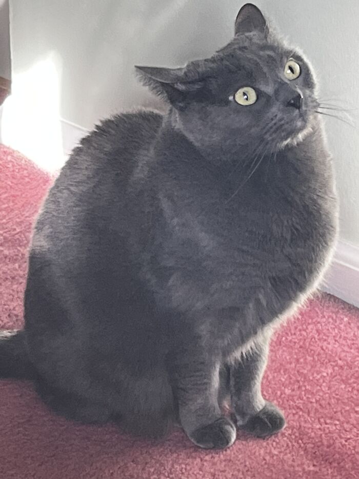 Staring At The Stars