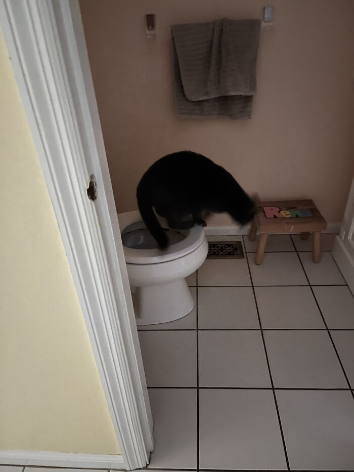 I’ve Been Caught, Gotta Escape Quick