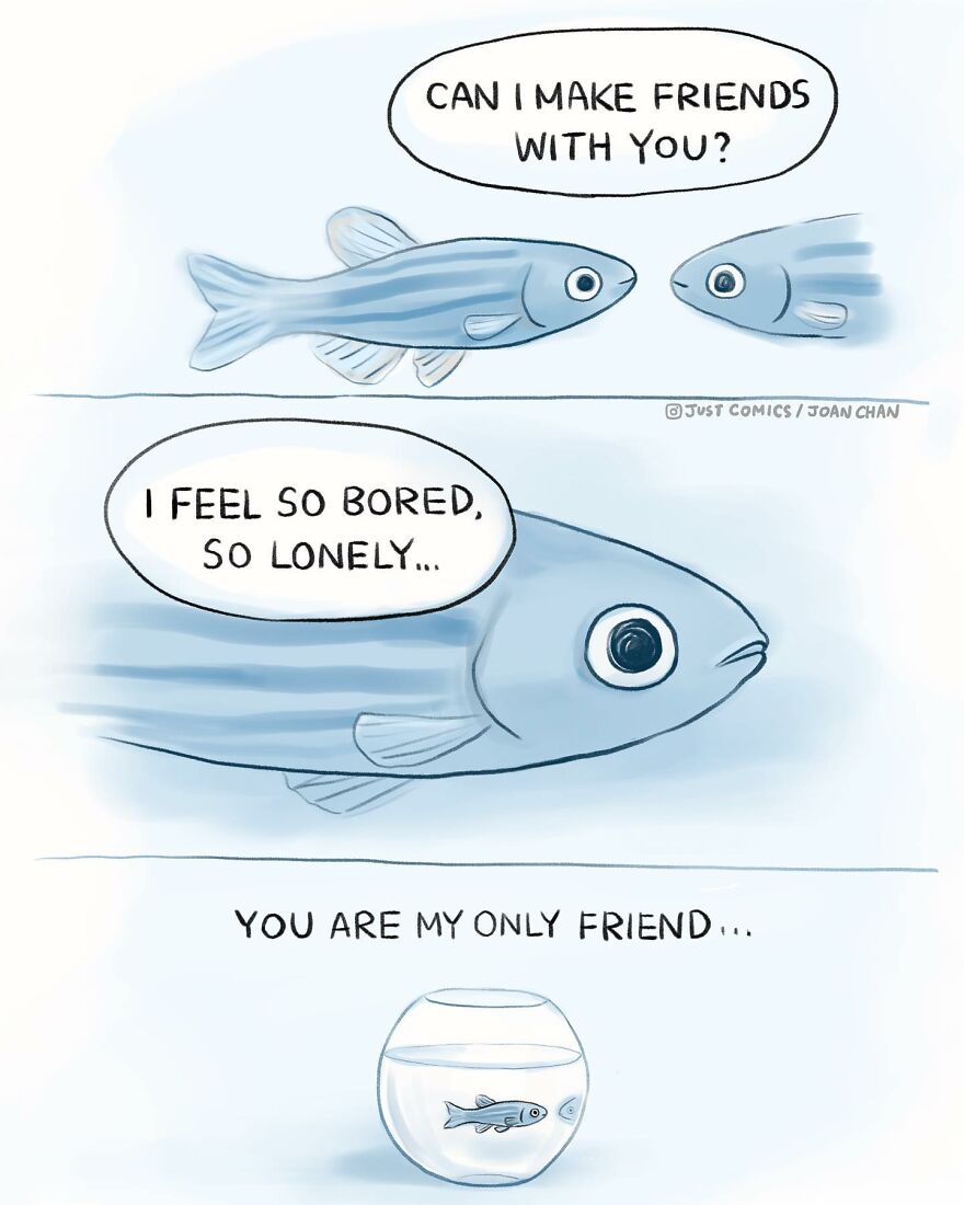 New Heartbreaking Comics About Animal Abuse And Factory Farming By Joan Chan New Heartbreaking Comics About Animal Abuse And Factory Farming By Joan Chan