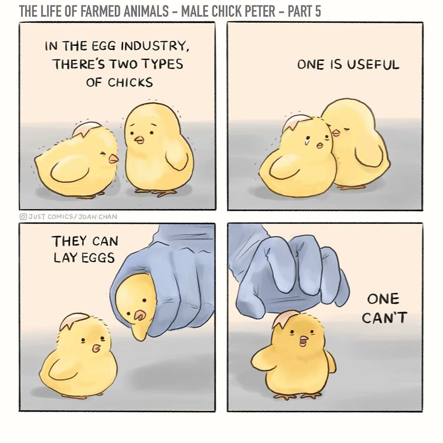 New Heartbreaking Comics About Animal Abuse And Factory Farming By Joan Chan New Heartbreaking Comics About Animal Abuse And Factory Farming By Joan Chan