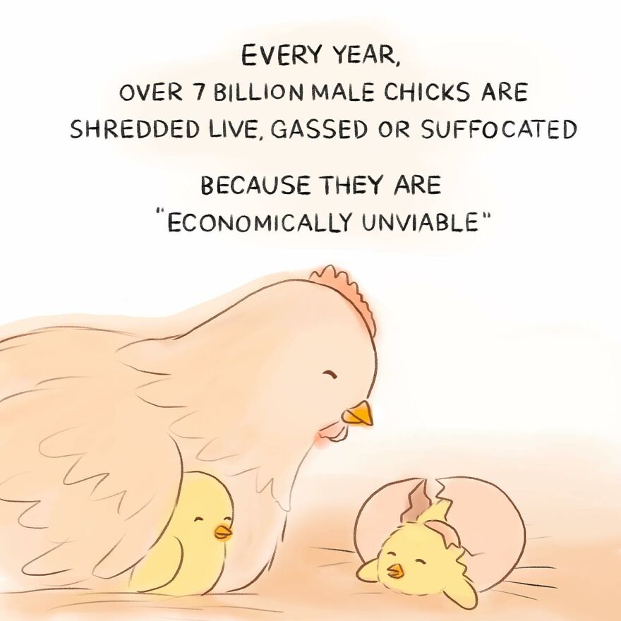 New Heartbreaking Comics About Animal Abuse And Factory Farming By Joan Chan New Heartbreaking Comics About Animal Abuse And Factory Farming By Joan Chan