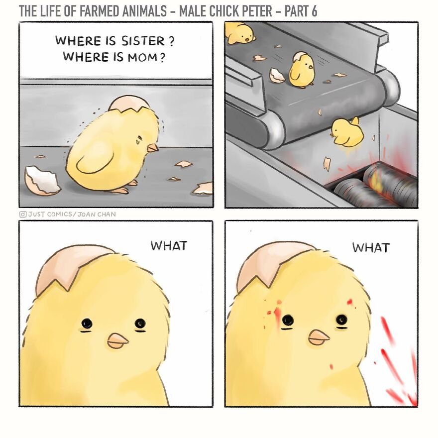 New Heartbreaking Comics About Animal Abuse And Factory Farming By Joan Chan New Heartbreaking Comics About Animal Abuse And Factory Farming By Joan Chan
