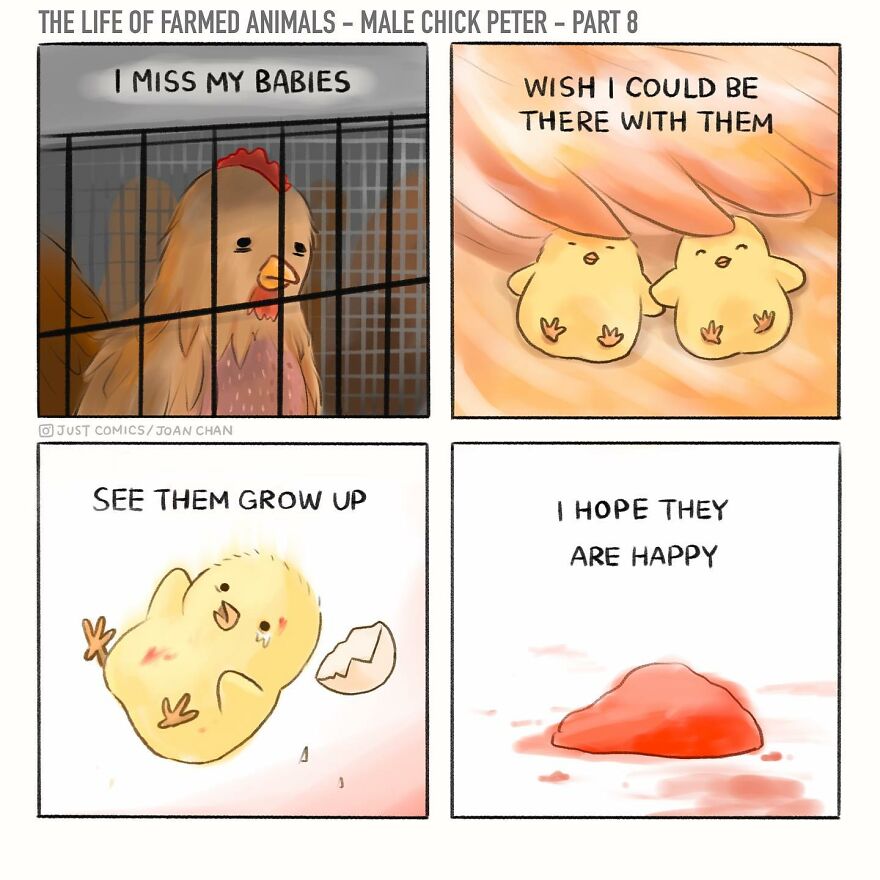 New Heartbreaking Comics About Animal Abuse And Factory Farming By Joan Chan New Heartbreaking Comics About Animal Abuse And Factory Farming By Joan Chan