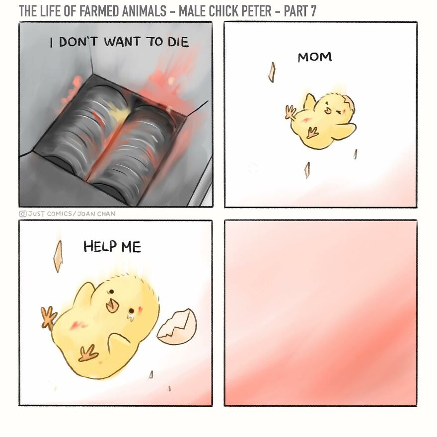 New Heartbreaking Comics About Animal Abuse And Factory Farming By Joan Chan New Heartbreaking Comics About Animal Abuse And Factory Farming By Joan Chan
