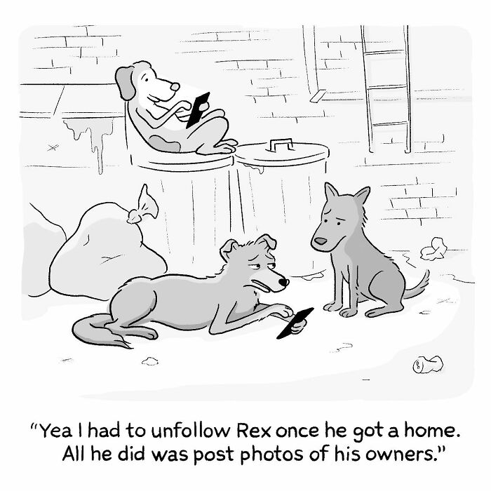 New Hilarious Comics That Sum Up Our Society Perfectly In One Frame By Matt Reuter