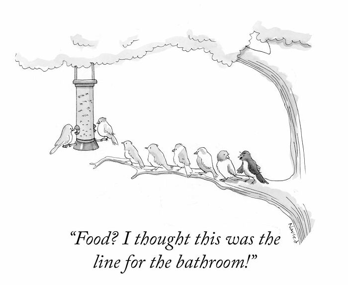 New Yorker Cartoonist Draws Funny, Smart (Ridiculous. Yet Totally Relatable)