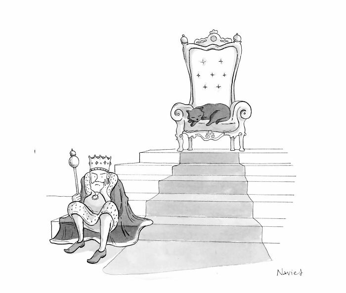 New Yorker Cartoonist Draws Funny, Smart (Ridiculous. Yet Totally Relatable)