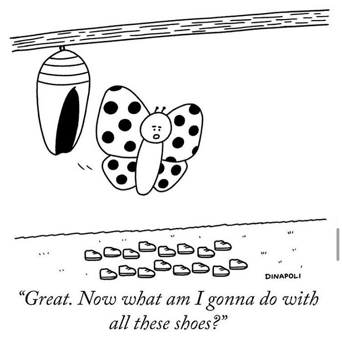 New Yorker Cartoonist Draws Funny, Smart (Ridiculous. Yet Totally Relatable)