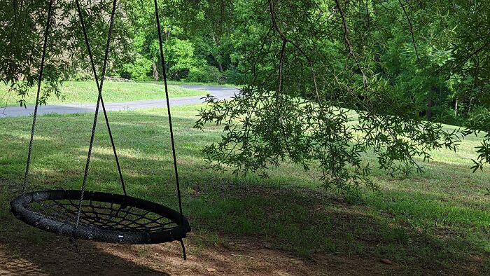 Swing At My Grandma's