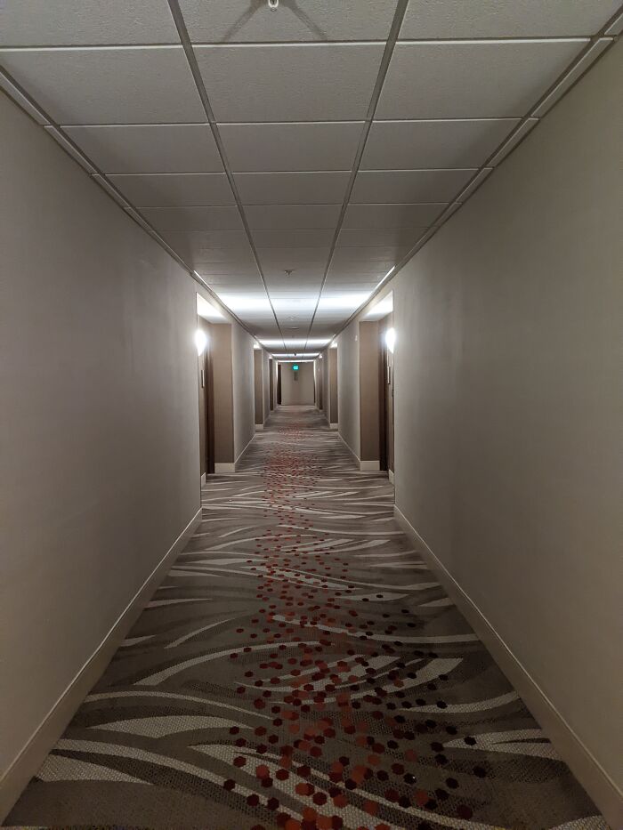 A Hotel In Orlando Florida