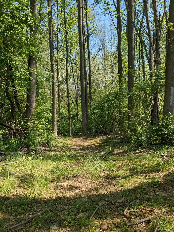 Behind My School, There's A Creek And Wooded Area That I Go To Whenever I Have The Chance To. It's A Bit Of A Walk To Get There, But It's Technically On School Grounds