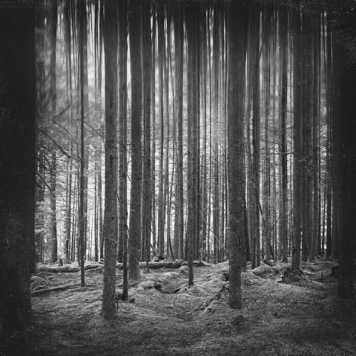 A Visual Exploration Of Narcissistic Abuse And Recovery (15 Photos)