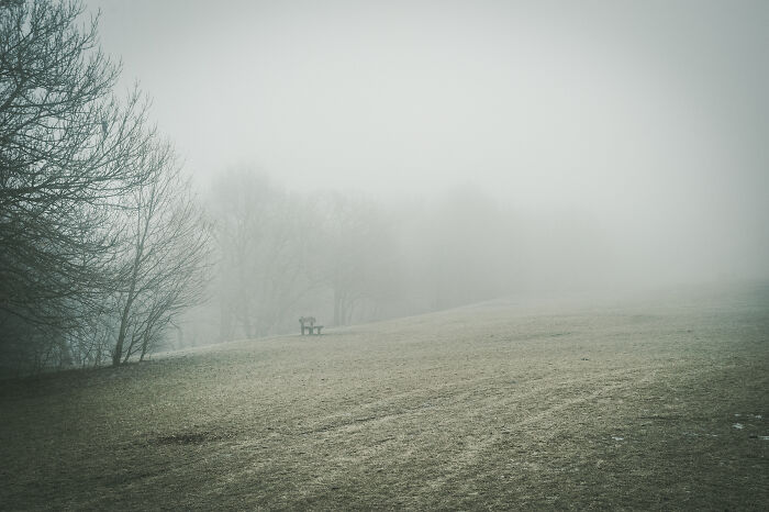Foggy Day