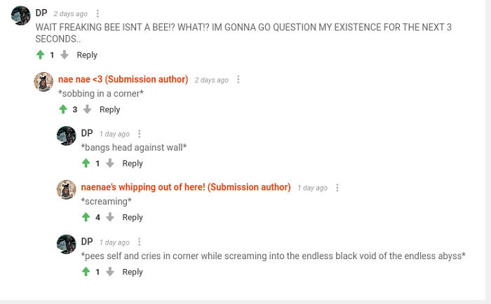 Yeah So I'm Not A Bee