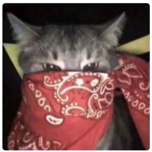 elenamarieevans avatar