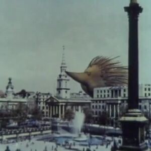 a-constanza-hill avatar