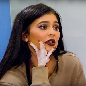 Three dogs in a raincoat