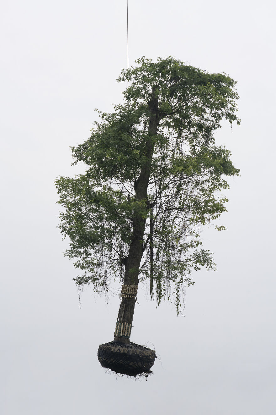Still Life, 1st Place: The Sky Garden By Kechun Zhang
