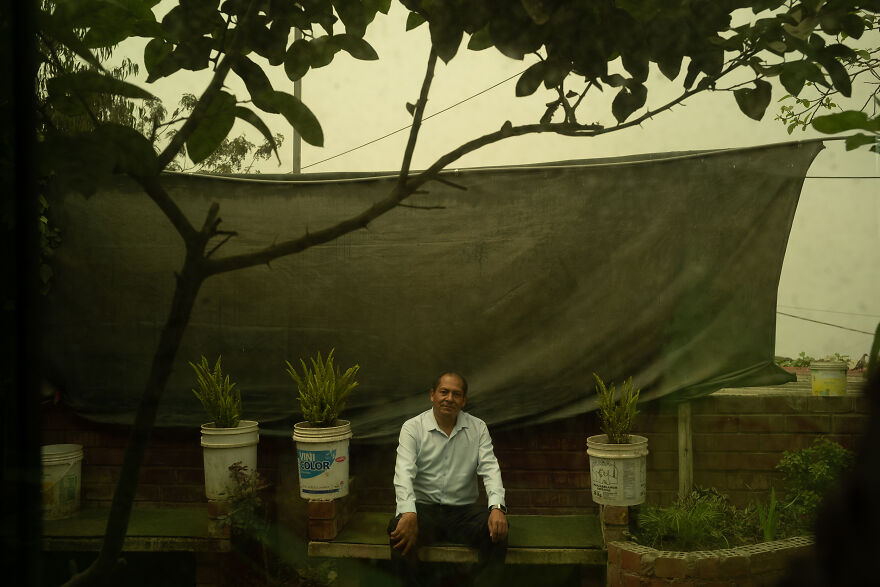 Sustainability Prize Winner: Atrapanieblas (Fog Nets) By Alessandro Cinque