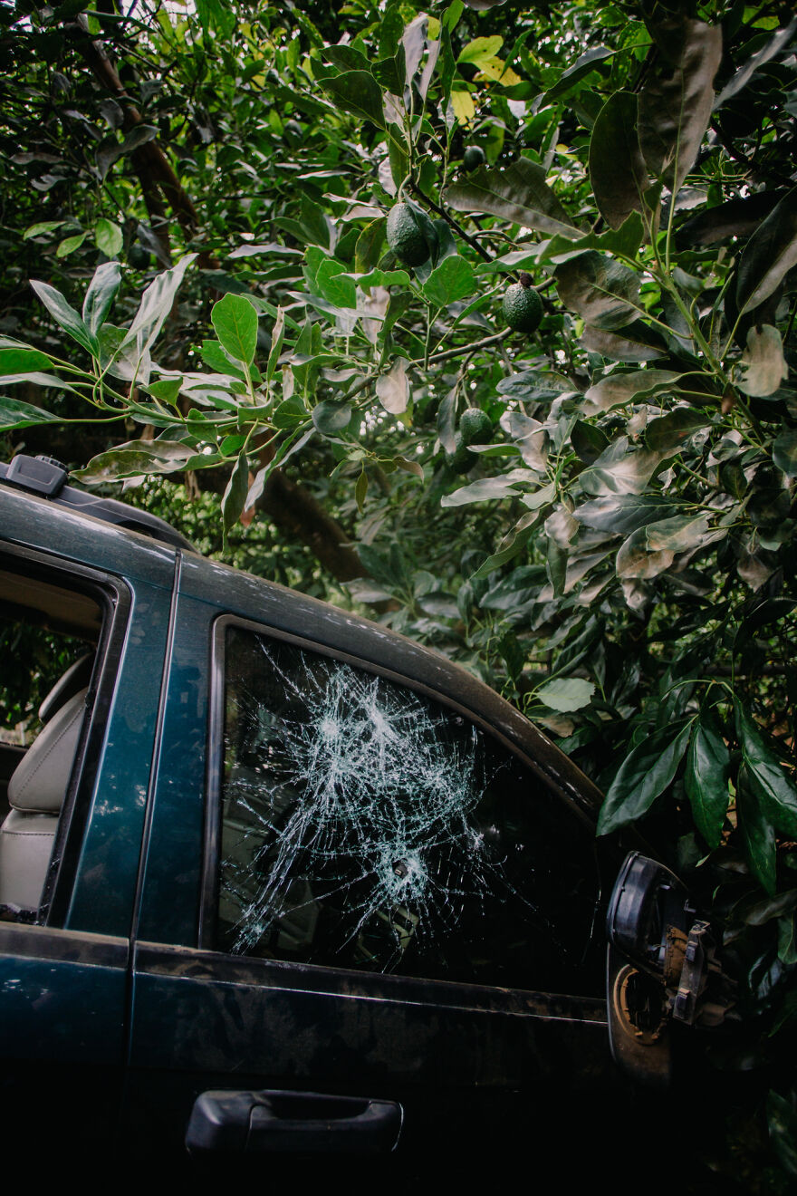 Environment, 3rd Place: Green Dystopia By Axel Javier Sulzbacher