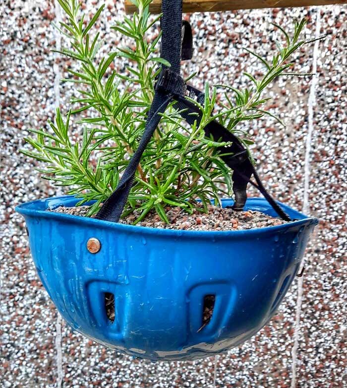 Cycling Without Helmets