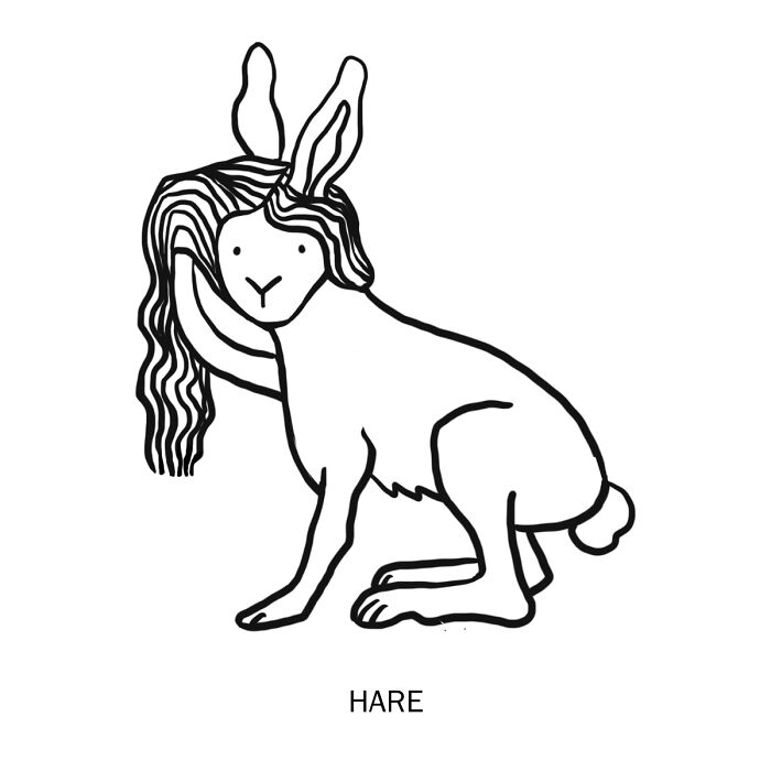 Illustration of a hare holding a long strand of hair, depicting a literal meaning of words.