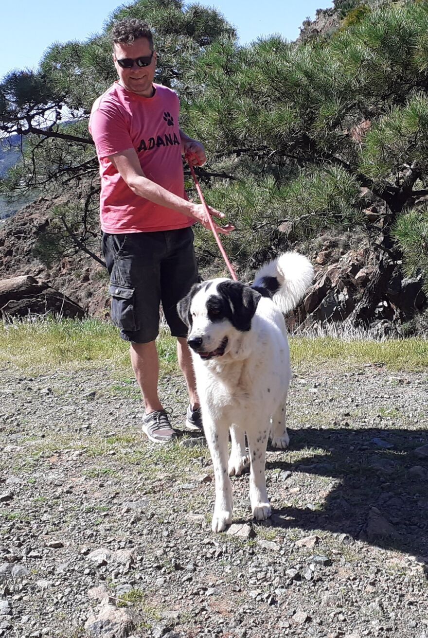 We're Never Short Of Affection At The Adana Dog Rescue Centre (12 Pics)