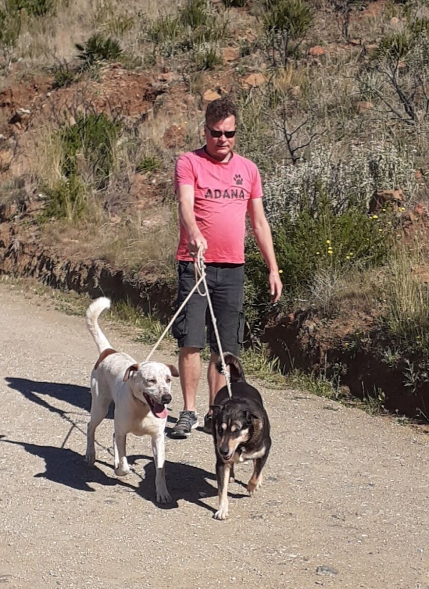 We're Never Short Of Affection At The Adana Dog Rescue Centre (12 Pics)