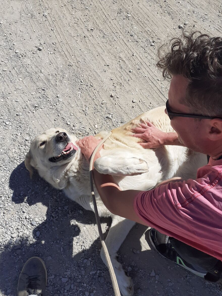 We're Never Short Of Affection At The Adana Dog Rescue Centre (12 Pics)