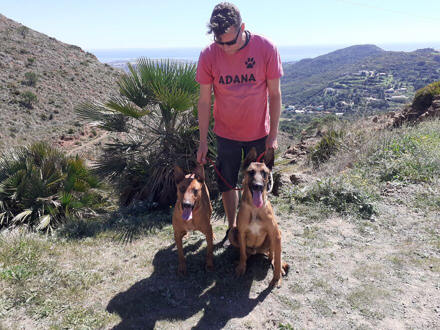 We're Never Short Of Affection At The Adana Dog Rescue Centre (12 Pics)