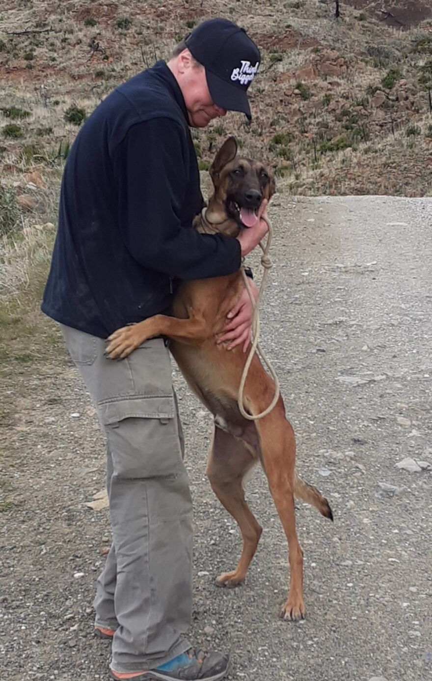 We're Never Short Of Affection At The Adana Dog Rescue Centre (12 Pics)