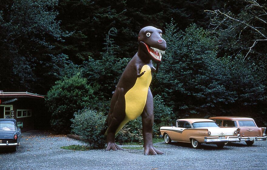 Prehistoric Gardens, Port Orford, Oregon, 1961