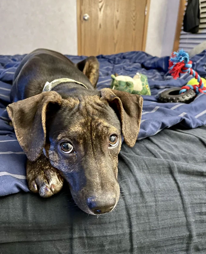 I Was Adopted And Today I Was Able To Pay It Forward