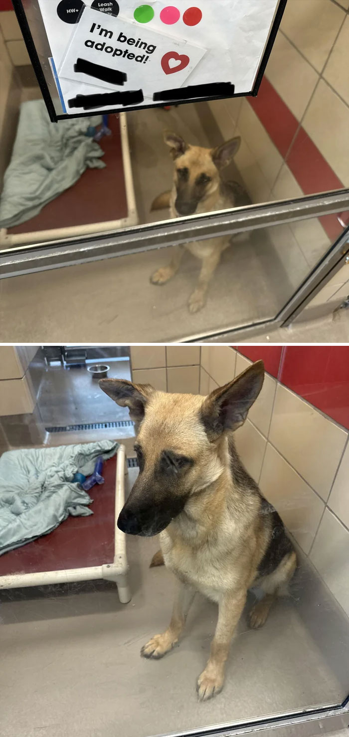 Wasn’t Expecting To Do This Today