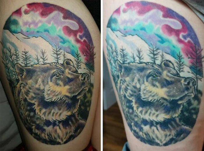 Bear tattoo after aging, vibrant colors fading slightly with time.